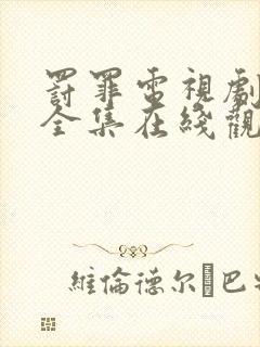 罚罪电视剧免费全集在线观看高清封面