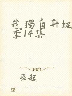 我独自升级第二季14集