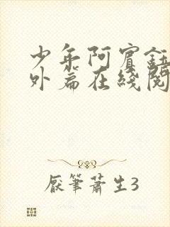 少年阿宾钰慧番外篇在线阅读免费