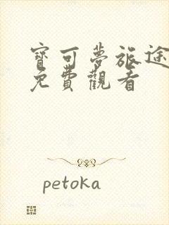 宝可梦旅途在线免费观看