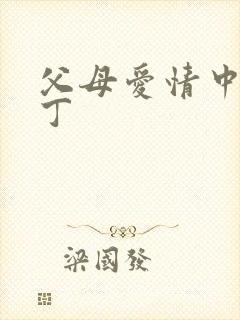 父母爱情中的老丁