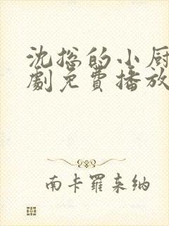 沈总的小厨娘短剧免费播放封面