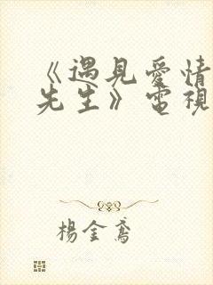 《遇见爱情的利先生》电视剧