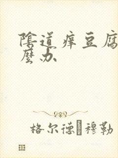 阴道痒豆腐渣怎么办封面