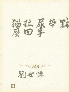 猫拉尿带点血怎么回事封面