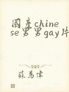 国产chinese男男gay片网站
