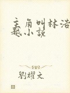 主角叫林浩的穿越小说