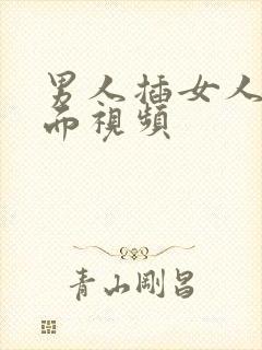 男人插女人的下面视频