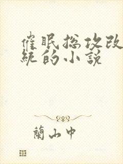 催眠总攻改造系统的小说