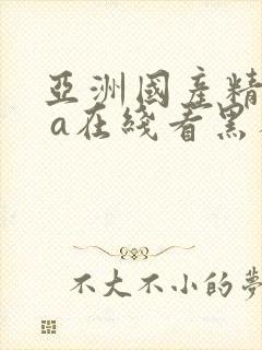 亚洲国产精品v a在线看黑人