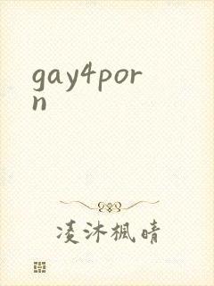 gay4porn封面