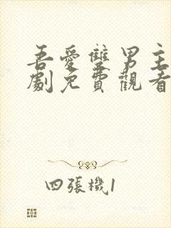 吾爱双男主电视剧免费观看