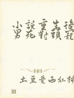 小说重生后被渣男死对头宠上天