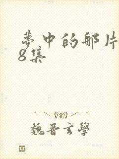 梦中的那片海38集