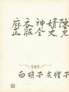 麻衣神婿陈黄皮正版全文免费阅读