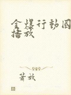 金爆行动国语版播放