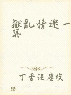 狱乱情迷一共几集