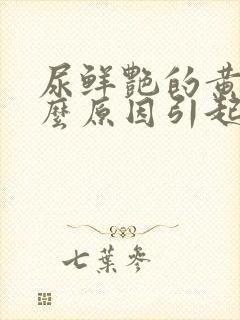 尿鲜艳的黄是什么原因引起的