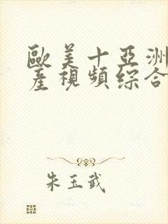 欧美十亚洲十国产视频综合