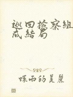 巡回检察组张有成结局