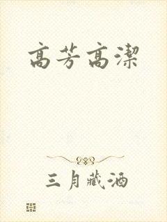 高芳高洁封面