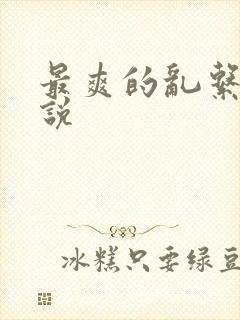 最爽的乱系列小说