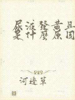 尿液发黄且浑浊是什么原因