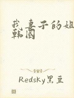 我妻子的姐姐3韩国封面