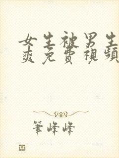 女生被男生操到爽免费视频