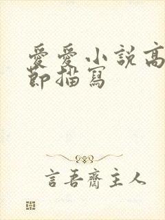 爱爱小说高潮细节描写