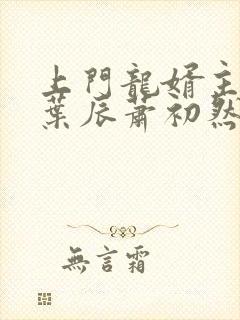 上门龙婿主人公叶辰萧初然