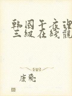 韩国午夜理论a三级在线观看