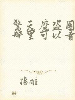 惊天魔盗团2在哪里可以看