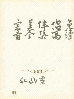 完美伴侣免费观看全集高清版电视剧