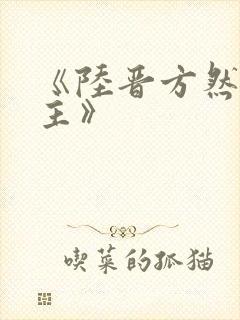 《陆晋方然双男主》封面