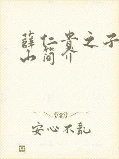 薛仁贵之子薛丁山简介