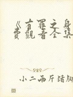 《有罪之身》免费观看全集11集