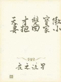 天才双宝傲娇前妻抱回家小说免费阅读全文