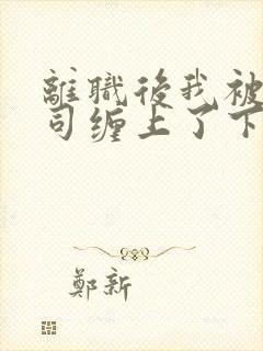 离职后我被前上司缠上了下载txt封面