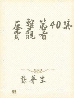 反击第40集免费观看封面