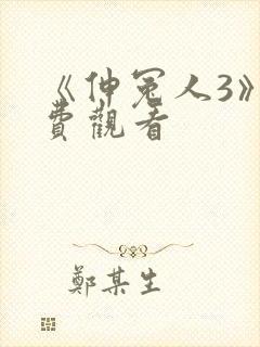 《伸冤人3》免费观看封面