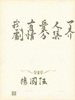 我有爱人了韩剧剧情分集介绍