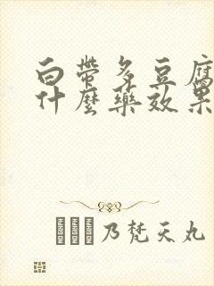 白带多豆腐渣用什么药效果好