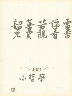 韶华若锦电视剧免费观看番外