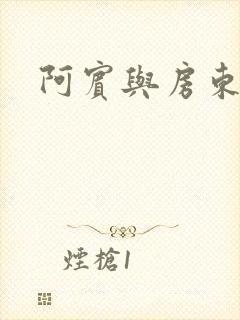 阿宾与房东太太封面