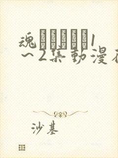 魂インサート1～2集动漫在线观看