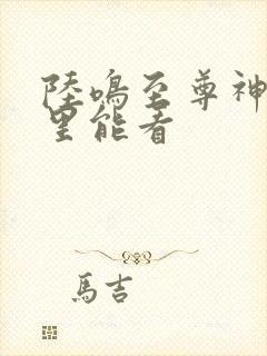 陆鸣至尊神殿哪里能看