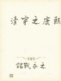 清穿之康熙锦妃