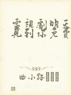 电视剧明天也想见到你免费观看全集