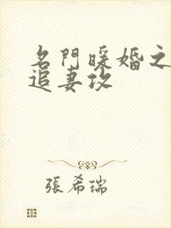 名门暖婚之权爷追妻攻